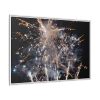 10117277484792913378_2048.jpeg Fireworks for New Year Framed Canvas