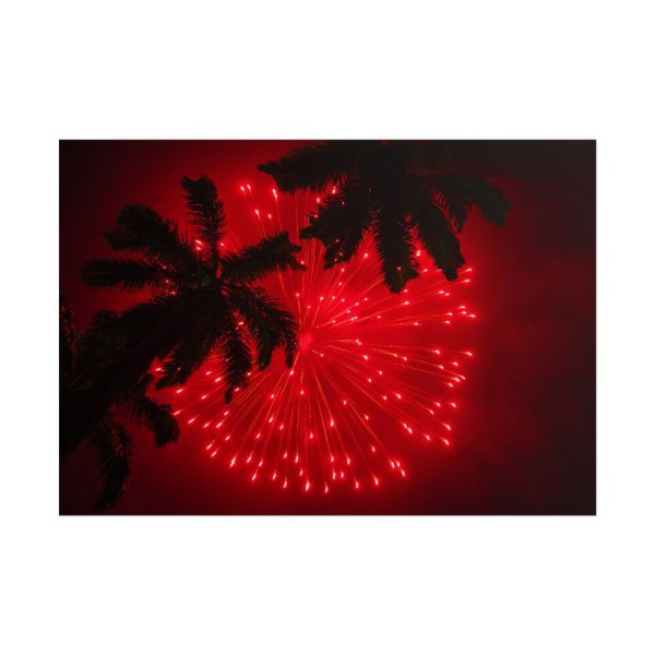 Firework Show Tropical New Year Poster