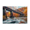 1161214043934741507_2048.jpeg Autumn Bridge Art II Poster