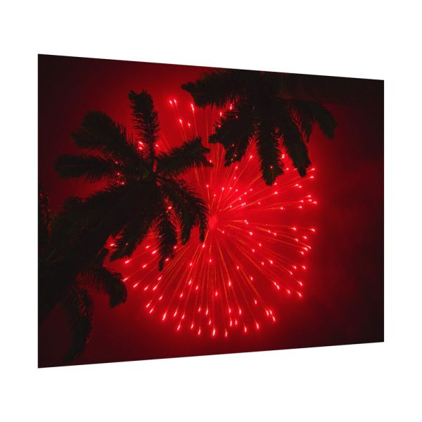 Firework Show Tropical New Year Poster