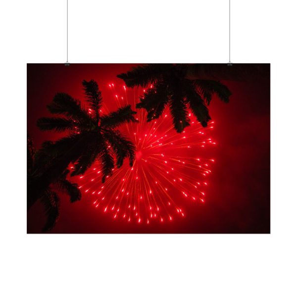 Firework Show Tropical New Year Poster