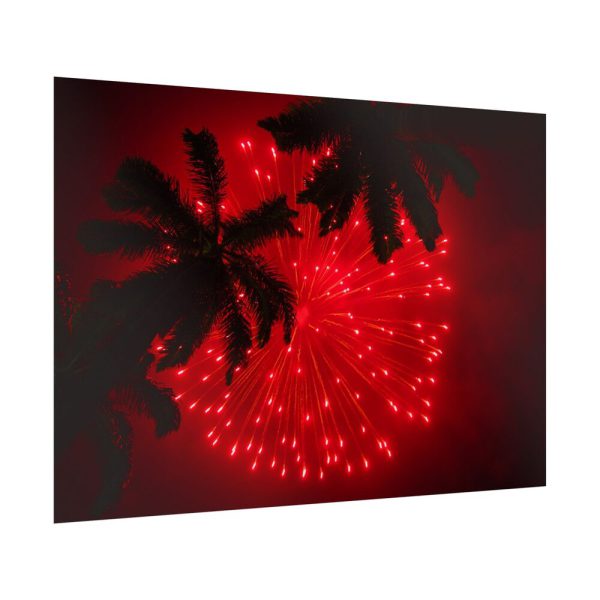Firework Show Tropical New Year Poster