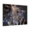 3251923416570976623_2048.jpeg Fireworks for New Year Poster