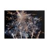 699647058895171622_2048.jpeg Fireworks for New Year Poster