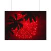 Firework Show Tropical New Year Poster