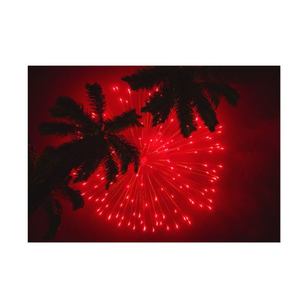 Firework Show Tropical New Year Poster