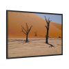 11958346145350353982_2048.jpeg Desolate Trees in the Sandy Desert of Deadvlei Hiking Trail Framed Canvas