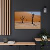 6716951222584889428_2048.jpeg Desolate Trees in the Sandy Desert of Deadvlei Hiking Trail Framed Canvas