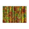 15032623365160647238_2048.jpeg Bare Birch Type Trees With Autumn Leaves Poster