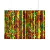 4912792244312531930_2048.jpeg Bare Birch Type Trees With Autumn Leaves Poster