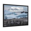 10264628219733734910_2048.jpeg Penguin in Alaska Framed Poster