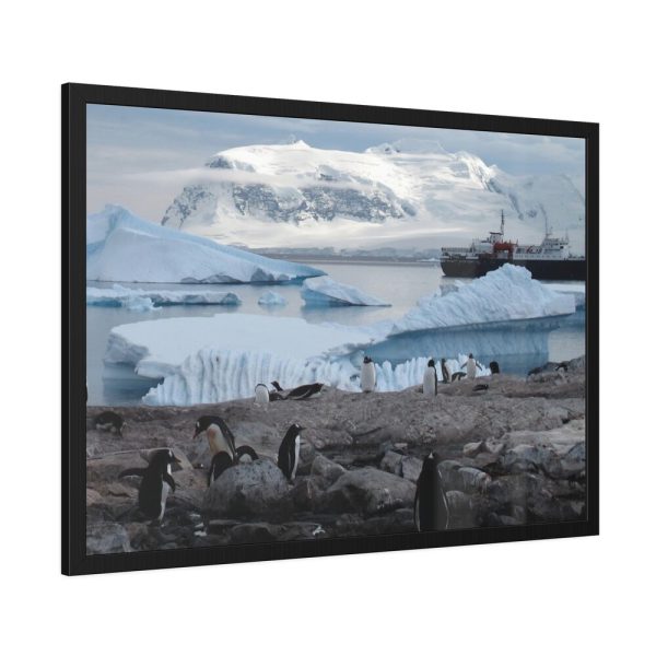 10264628219733734910_2048.jpeg Penguin in Alaska Framed Poster