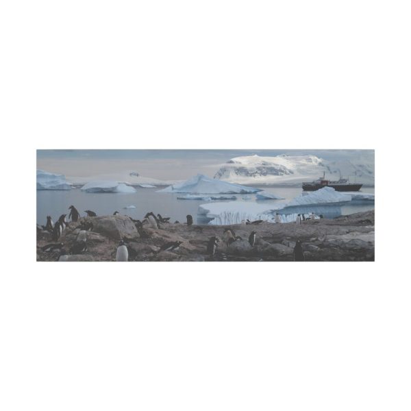 14715286374401623803_2048.jpeg Penguin in Alaska Standard Canvas