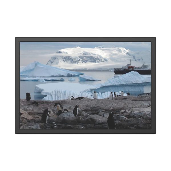 1478719325987534800_2048.jpeg Penguin in Alaska Framed Poster