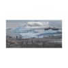 18014706457352163907_2048.jpeg Penguin in Alaska Standard Canvas