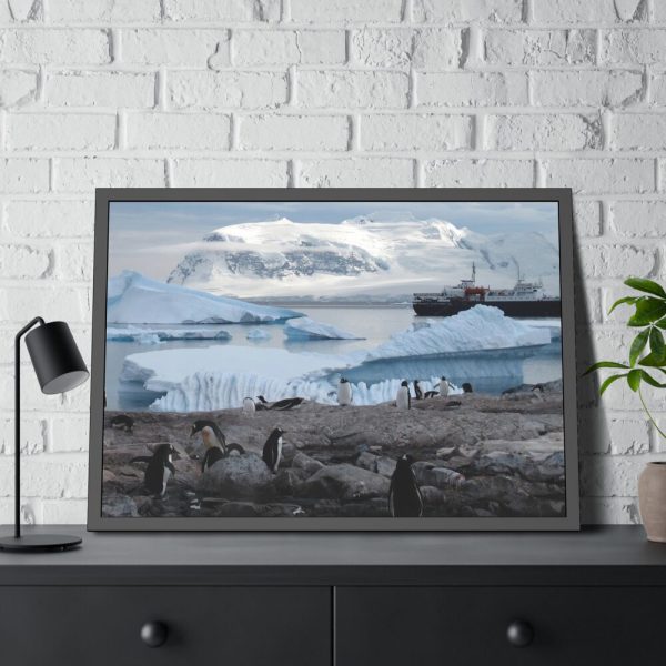 7933390712743135347_2048.jpeg Penguin in Alaska Framed Poster